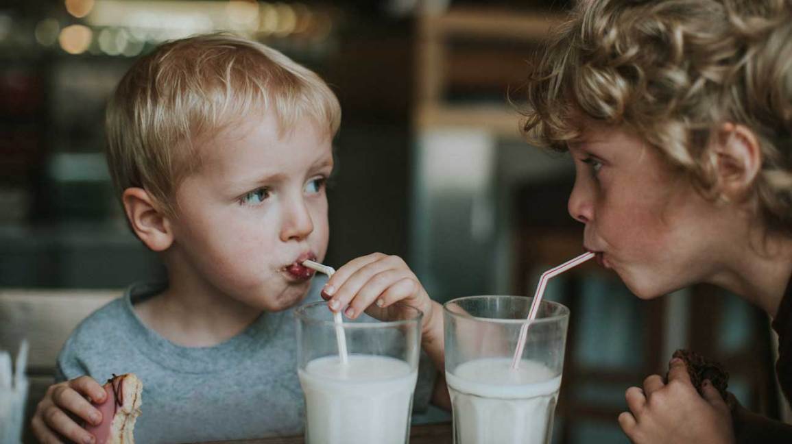Молоко - это очень питательная жидкость, которая образуется в молочных железах млекопитающих для поддержания жизни новорожденных в первые месяцы жизни